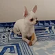 ����� ����� ������ ���� �����������