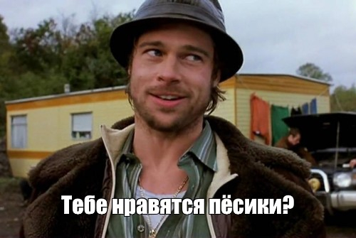 Собачки Собачки, люблю собачек