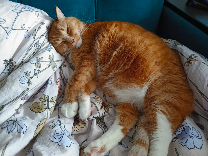 Little Bit News | ���������� ������� ��� ���� �� ��������� ��� ��� ���, ��� ����� ������� � ������ ����� �������� ����� ������