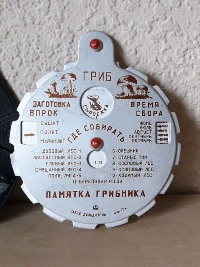 ����, ���������� ��������. � ���� ����� ���, �������, ��� �������� ����. ���-������ �� ������������ �����������?