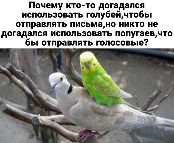 ���� �������� ��������,����� ������� ����� �����