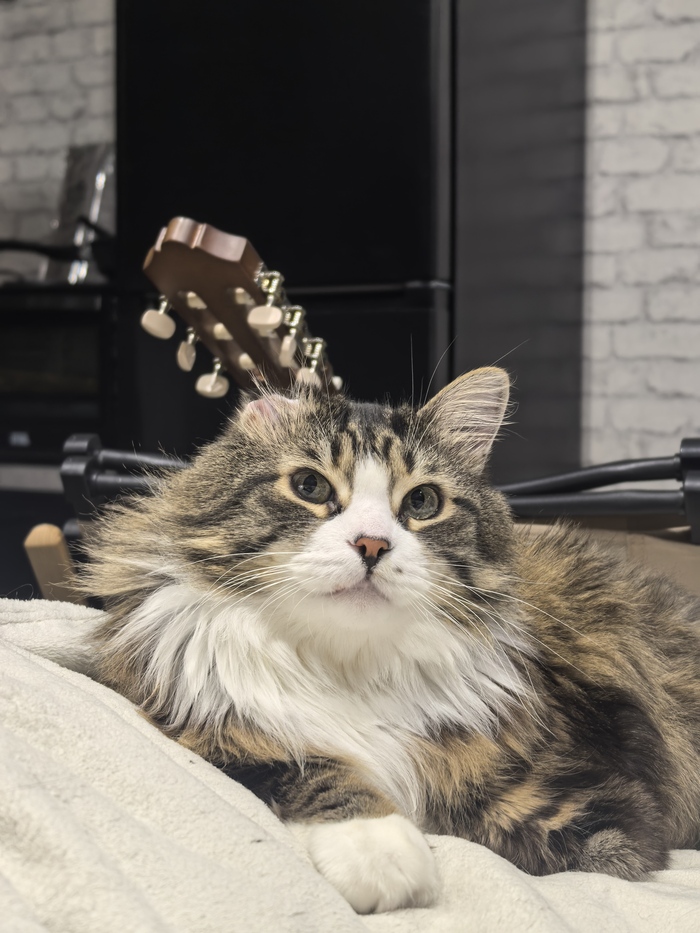 Пора спать)