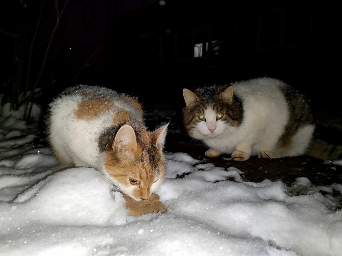 �����, ���� � ������ ��� � ����� :3