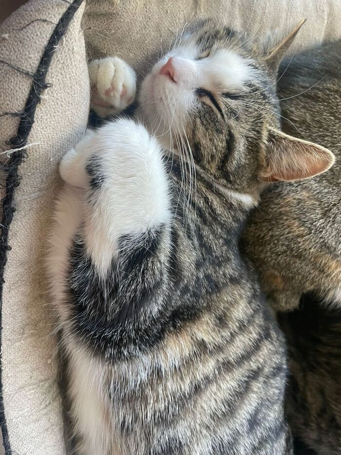 Пятница. Состояние сонное