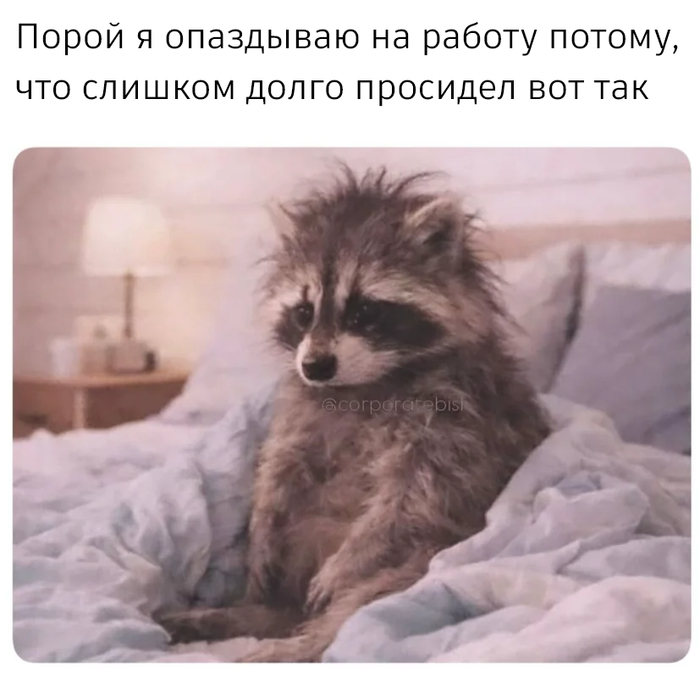 (на полчаса залипает в одну точку)