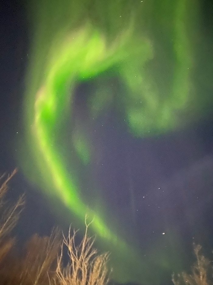 �������� ������