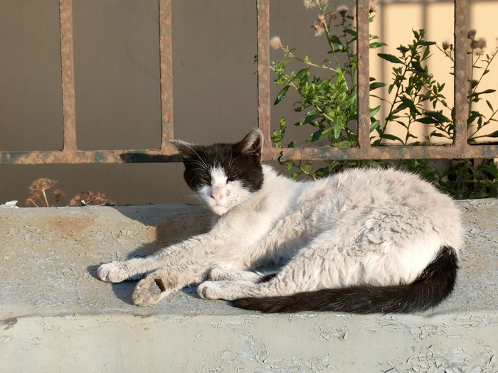 ����������, ������ � ����������� �����