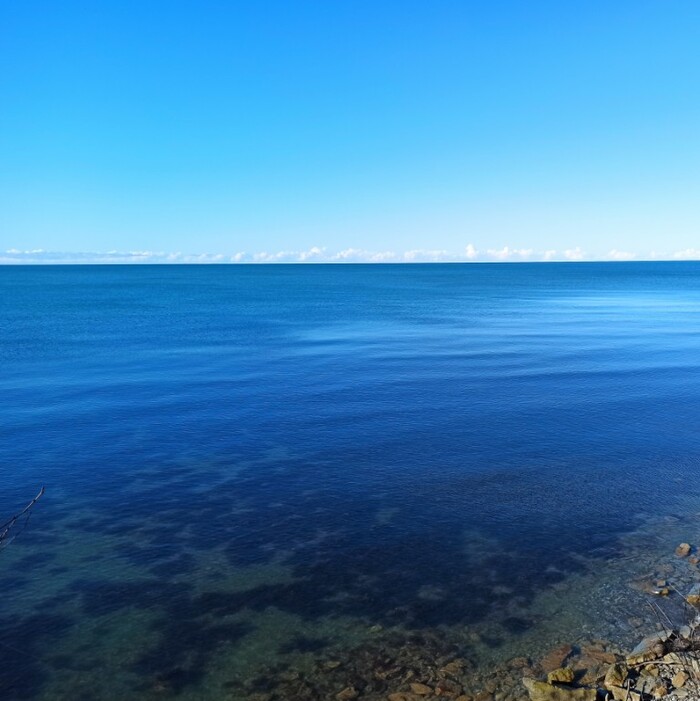 ��������� ����