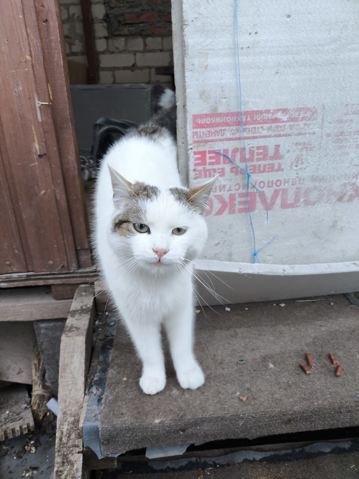 ���������)