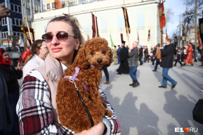 ��������:��������� �������� / <!--noindex--><a href="https://pikabu.ru/story/vzyali_s_soboy_detey_i_sobak_po_ekaterinburgu_proshlas_tolpa_veruyushchikh_paskhalnyiy_fotoreportazh_13875886?u=http%3A%2F%2FE1.RU&t=E1.RU&h=d14cb2f4849bc246a517d6332b909846dc263a36" title="http://E1.RU" target="_blank" rel="nofollow noopener">E1.RU</a><!--/noindex-->