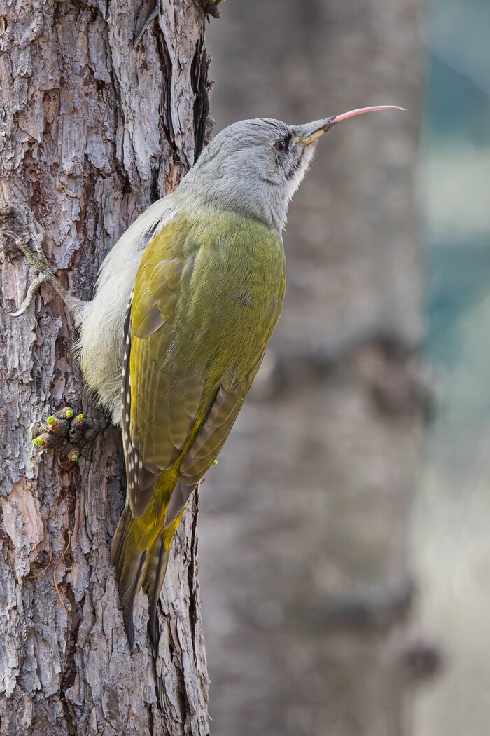 ������� ���������� ����� ����� ������������� ���� ���� ) ������, ���� ����� ������� ������������ ��� �� ���������� ����� �� ����� ������� ������ � ������� ������ ������� � ��������.