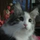 Аватар пользователя user10063976