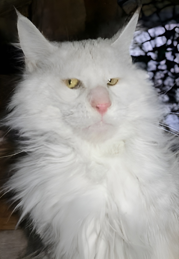 Рону Перлману 76 лет!