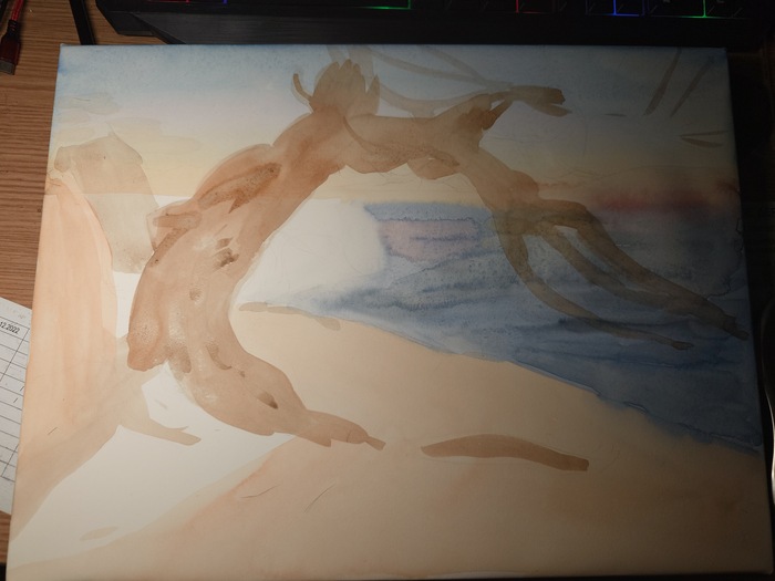 ���������-11 � 12