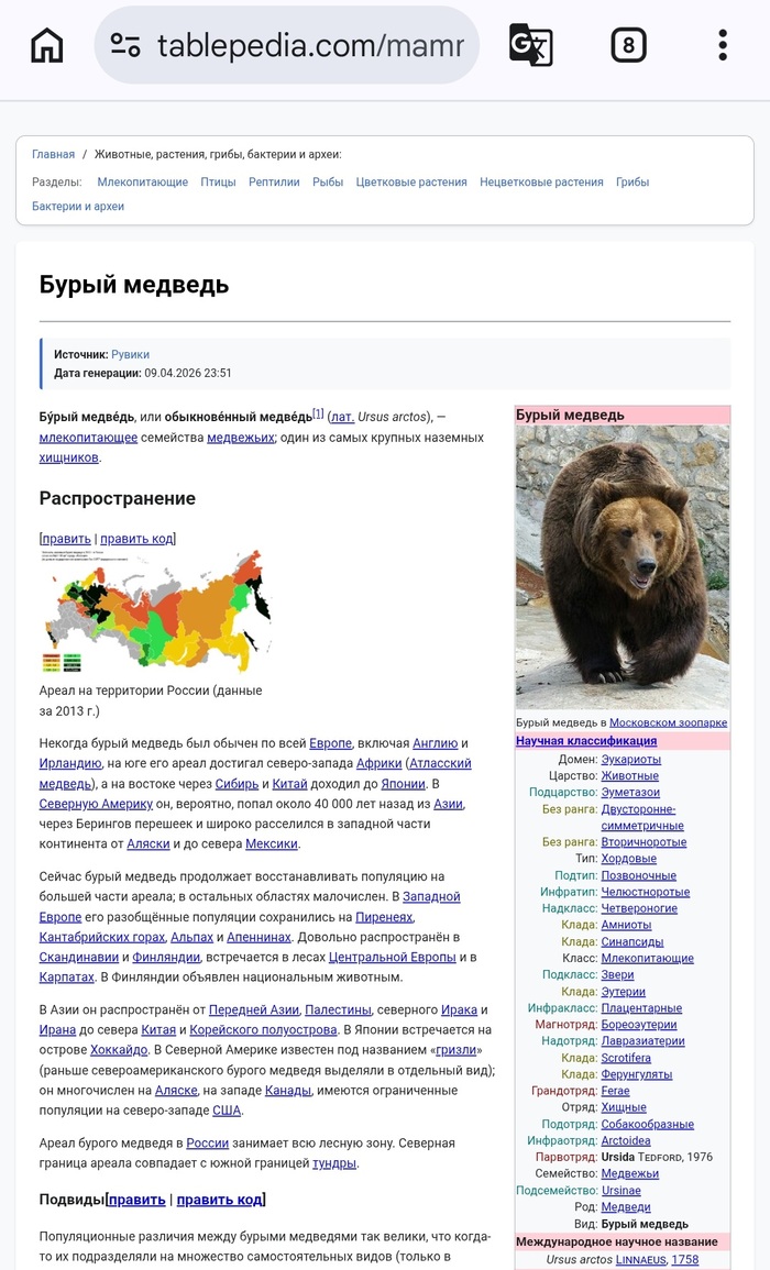 ����� �������