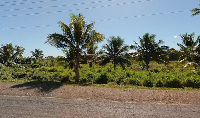 ��� ����� ������ ��� ������ �� ������� ������� (Lautoka)