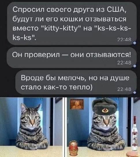 Проверил