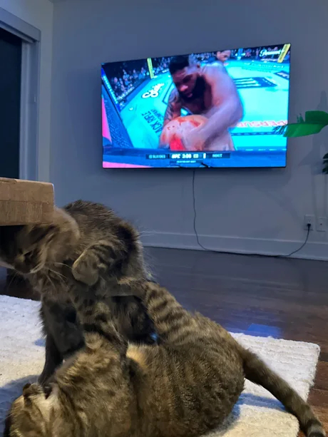 ������� ����� �� �����