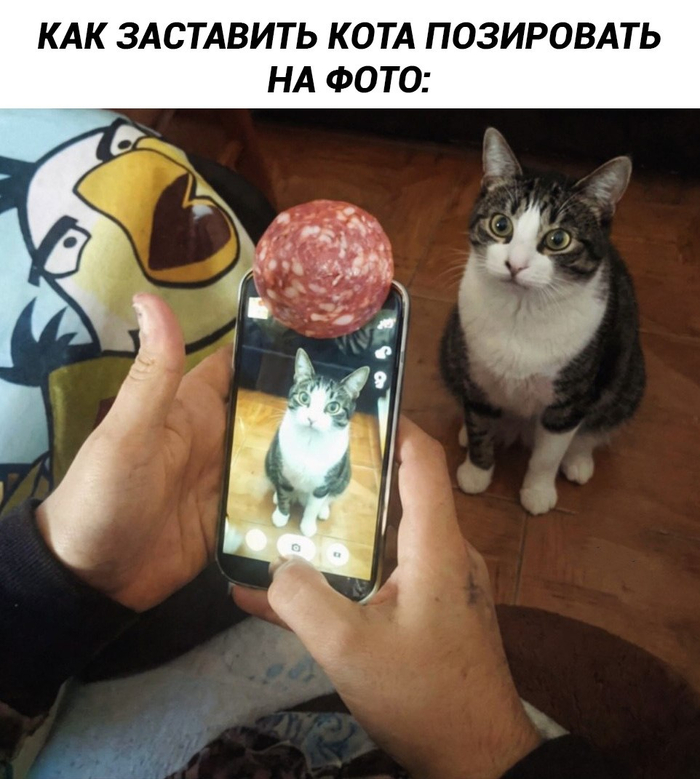 ����� �������