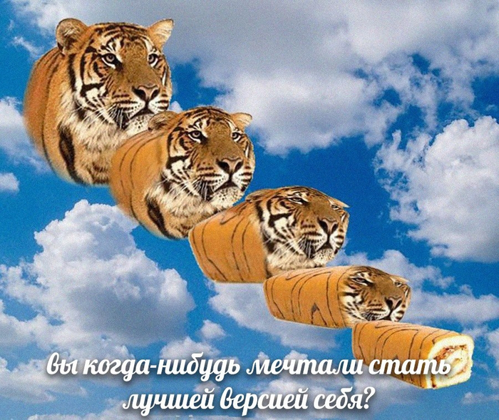 ������ ������ ����