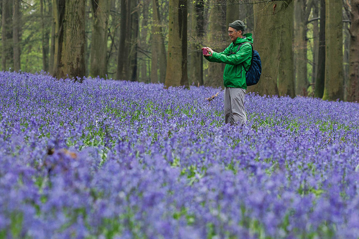 ������������ ������ � �������� ����//����: Dan Kitwood/Getty Images