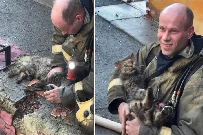 «Никогда не забуду взгляд кота, когда он очнулся»: тюменский пожарный спас питомца из огня и реанимировал его