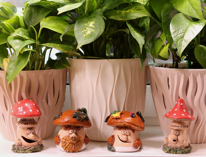 ��� ������� � �����