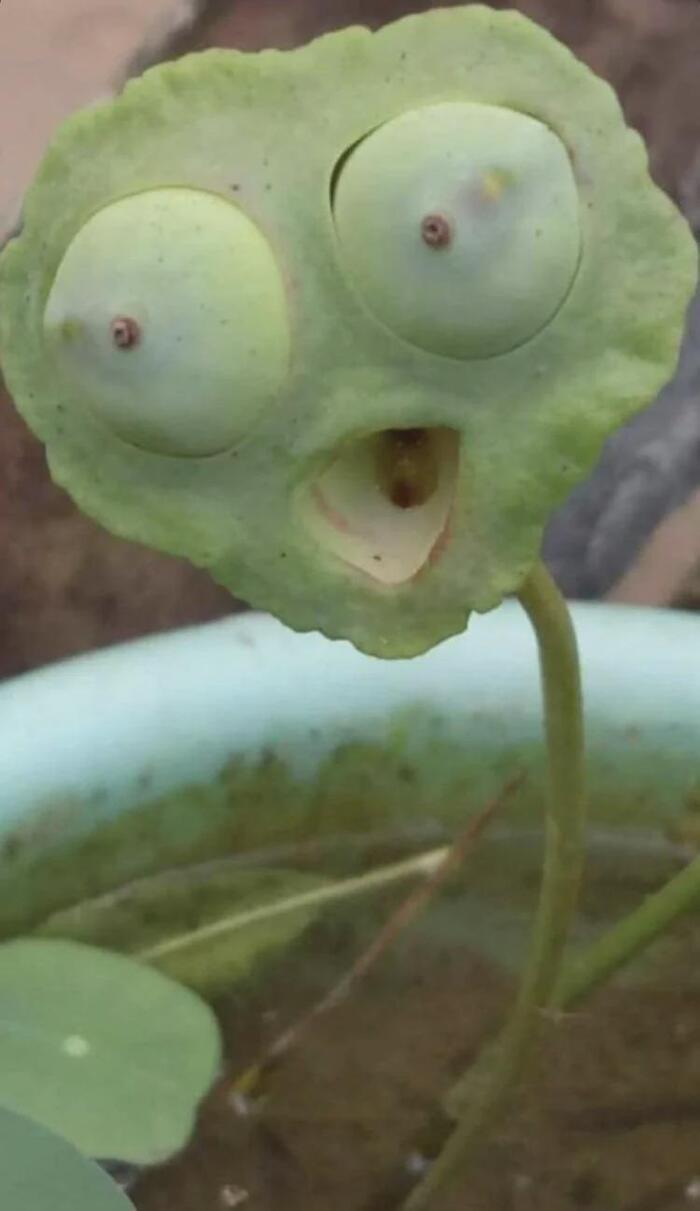 ���!