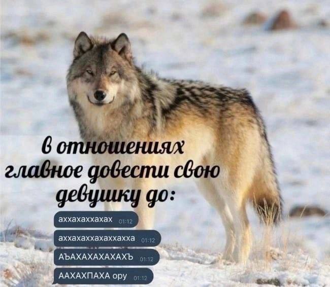 � ��� � ���� ������� ����� ���������?