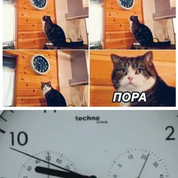Ioop