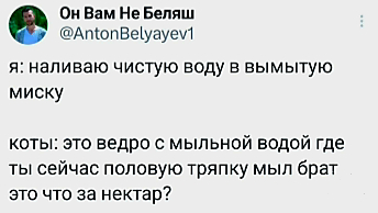 Из жизни шерстяных