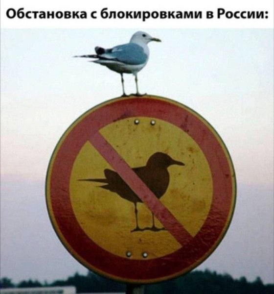 И добавить нечего