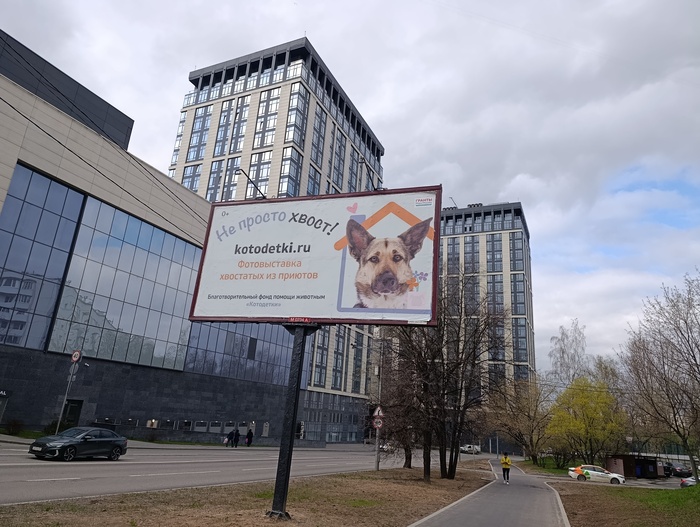 ����� ������!!!