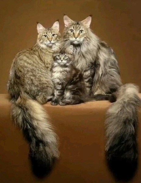 ���� �� ������ ������