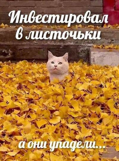 �����, �����-������ ����� ��� ������ �� ���� ������� ���������� �� ��������� �������� � ���� �������, � � ���� ������� ���������