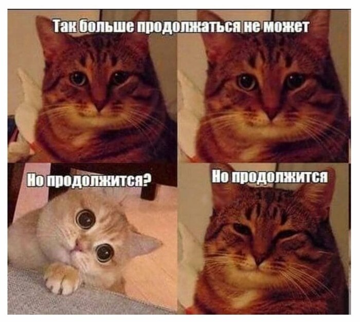 ���� ��� ������ ��� �������, ������ ������