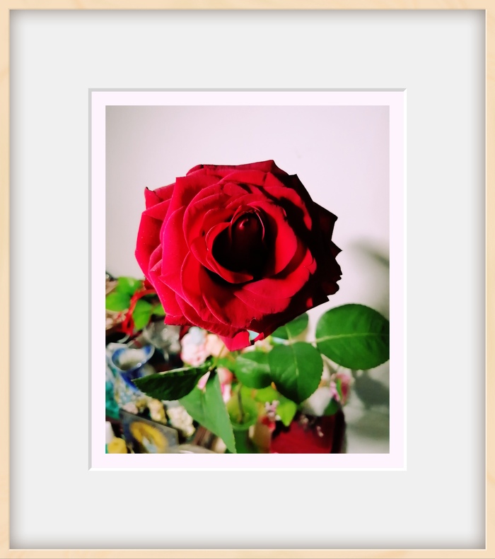 🌿🌹🍃 