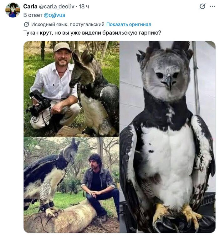 <!--noindex--><a href="https://pikabu.ru/story/prodolzhenie_posta_nemnogo_novostey_pro_avtoperevod_v_zapreshchyonnoy_sotsseti_13904698?u=https%3A%2F%2Fx.com%2Fi%2Fstatus%2F2045552578952397098&t=https%3A%2F%2Fx.com%2Fi%2Fstatus%2F2045552578952397098&h=8c402fc76e19ee717b4ca10b11738cc0d68fd66c" title="https://x.com/i/status/2045552578952397098" target="_blank" rel="nofollow noopener">https://x.com/i/status/2045552578952397098</a><!--/noindex-->