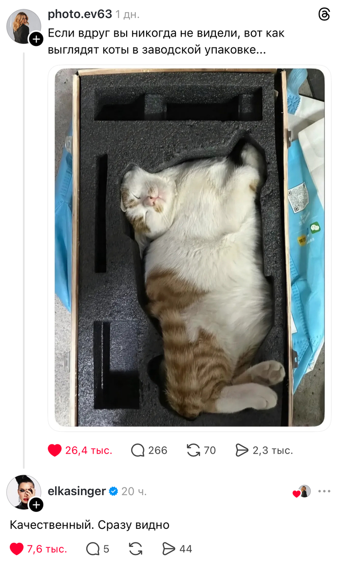 ��� ������, ������������ ��������)