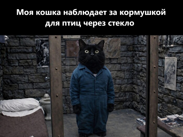 �� �� ������� ������