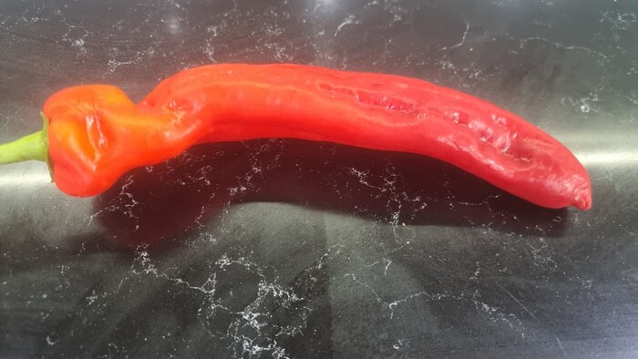 ����������� �����. � ��� ���������� ���������� ��� ���������. � ���� ������� ������. � � ���� ���� ������ ������� � ������� �� �����������.