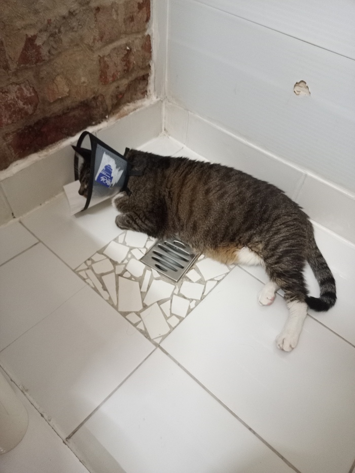 ����� � ���� ����� ���������, ������������ �������, ����� �� ����� ������ ��� ������. � ��� �� ������ �������� ���� � ��������.