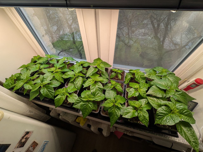 8-� ������