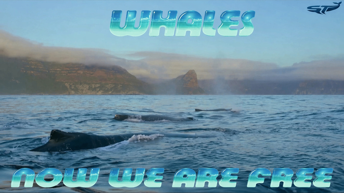 ���� - Now We Are Free