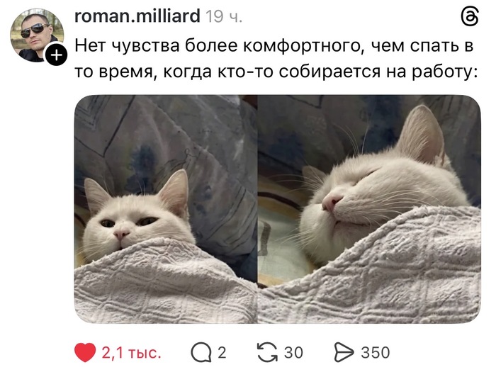 Нет чувства более комфортного, чем спать в то время, когда кто-то собирается на работу: