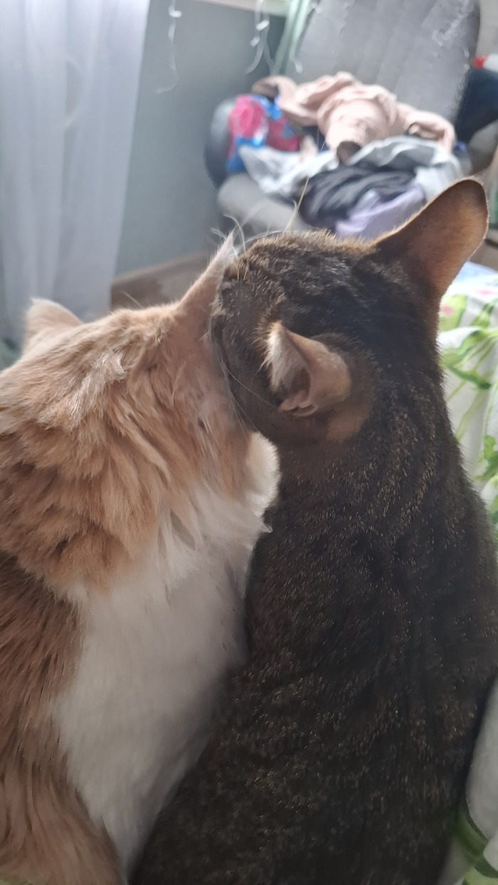 ��� ������ 🥰