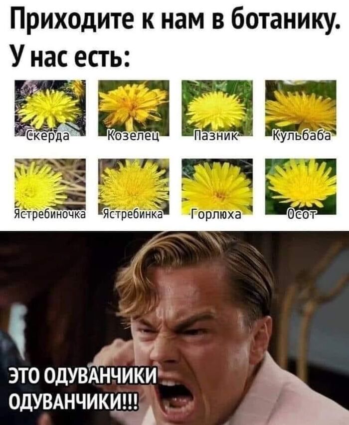 ���� ����� ...����