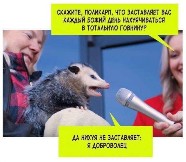 Выходные
