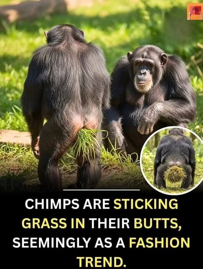 ������� � ����