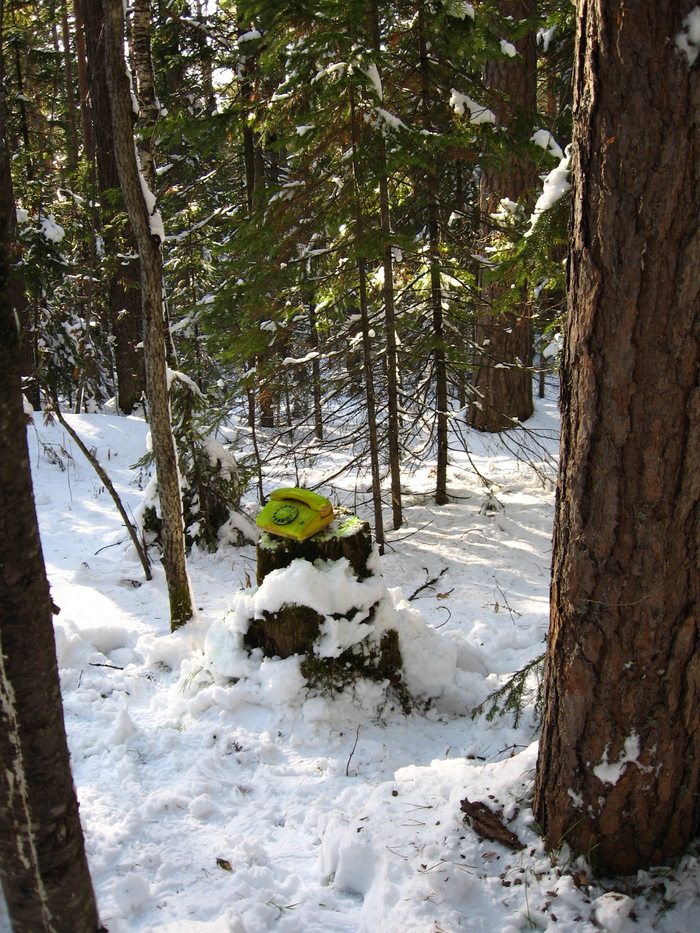 ����� �� ���� ������� ������� ����� ��������� ���������